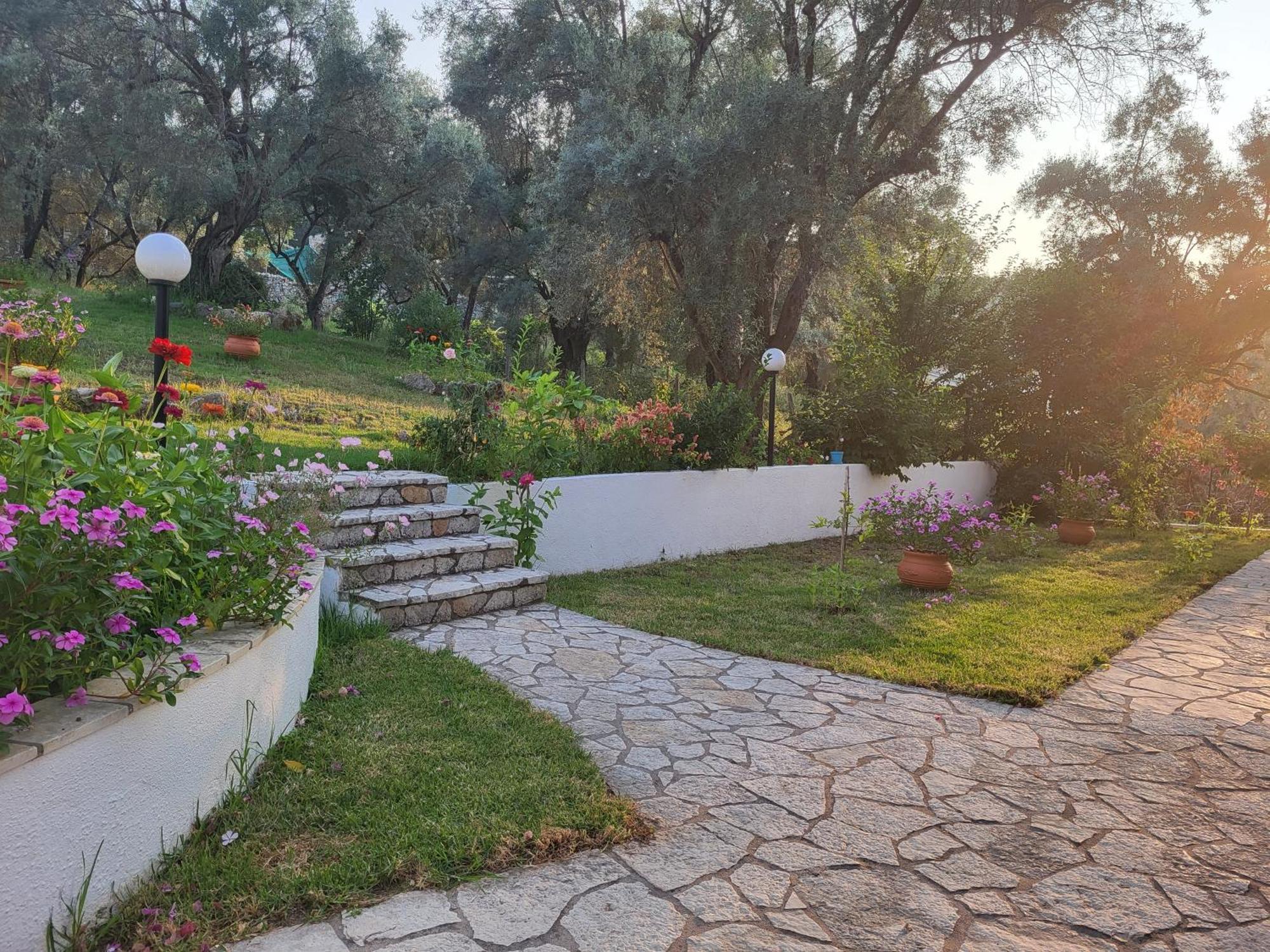 Dimitra Studios Lefkáda Kültér fotó